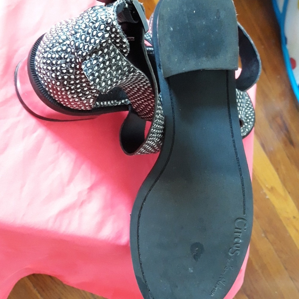 Circus by Sam Edelman - Picture 4 of 8